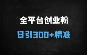 ﻿聊天对话式视频引流秘籍：日引300+创业粉的SEO优化实战指南