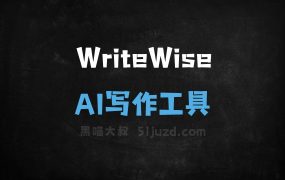 WriteWise