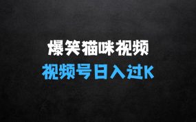 ﻿猫咪的搞笑视频：简单操作，日入过K，视频号搞钱新策略【揭秘】