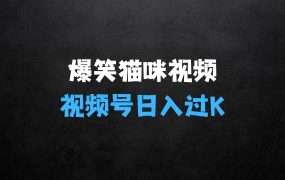 ﻿猫咪的搞笑视频：简单操作，日入过K，视频号搞钱新策略【揭秘】