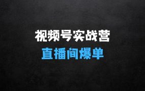 2025视频号直播间爆单闭门实战营,视频号直播间3天闪电实战课