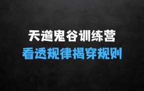 天道鬼谷训练营,看透规律,解读问题,揭穿商业规则,经营自在人生