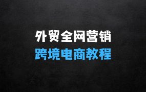 外贸全网营销实战课程外贸跨境电商教程:突破国际市场的秘诀