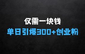﻿仅需一块钱，借助别人的力量，单日引爆300+创业粉、兼职粉【揭秘】