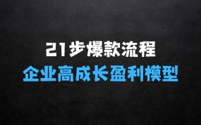 ﻿21步爆款必爆标准化流程，全新升级，打造企业高成长盈利模型