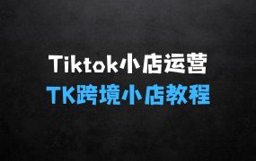 TikTok东南亚小店运营让学员能快速掌握实用的运营技巧之TK跨境小店教程