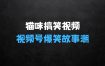 猫咪搞笑视频：掀视频号爆笑故事潮，轻松日入四位数，无门槛快速入门!