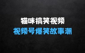 ﻿猫咪搞笑视频：掀视频号爆笑故事潮，轻松日入四位数，无门槛快速入门!