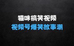 猫咪搞笑视频:掀视频号爆笑故事潮,轻松日入四位数,无门槛快速入门!