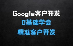 学完即用,带你实操0基础学会Google精准客户开发,成为外贸业务高手