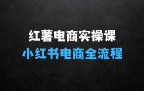红薯电商实操课,小红书电商全流程