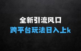 ﻿全新引流风口，跨平台玩法日入上k，单日狂揽200+精准创业粉，一个被严重忽略的视频平台：西瓜视频
