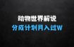 ﻿小生意做什么赚钱：利用动物世界解说视频，赚分成计划收益，轻松月入过W，操作简单【揭秘】
