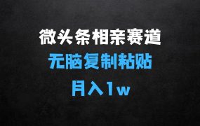 ﻿微头条相亲赛道4.0玩法，无脑复制粘贴，单账号日入100+，稳定收入技巧
