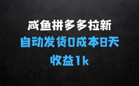 ﻿咸鱼拼多多虚拟拉新：无需人工的自动发货项目介绍
