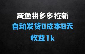 咸鱼拼多多虚拟拉新:无需人工的自动发货项目介绍