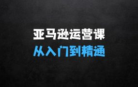 亚马逊运营课，从入门要精通