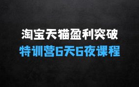 淘宝天猫盈利突破特训营,6天6夜,课程PPT,导师脑图,学员脑图,课程录音
