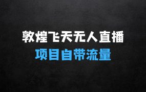 2024年最新稀缺项目敦煌飞天无人直播,项目自带流量,流量爆满,实现160小时实时直播不违规操项目详情