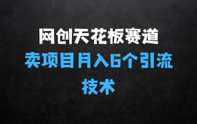﻿网创天花板赛道：卖项目月入6个，含独家引流技术(共26节课)
