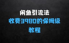 外面收费3980的闲鱼引流法，轻松易上手,0基础小白即可操作，日引200+创业粉的保姆级教程【揭秘】