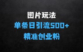 ﻿预算3980求带图片玩法，单条日引流500+精准创业粉，私信根本回不完