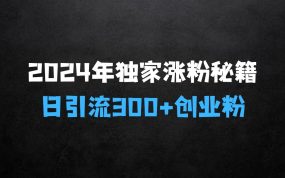 ﻿2025年独家涨粉秘籍：日引流300+创业粉，加爆你的微信好友，小白也能轻松上手