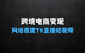 ﻿利用跨境电商网络及搭建TK直播、短视频、FB投流获客以及商城遇到的问题进行变现3.0必看版【揭秘】