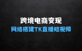 利用跨境电商网络及搭建TK直播、短视频、FB投流获客以及商城遇到的问题进行变现3.0必看版【揭秘】