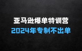 2024年亚马逊爆单特训营:不出单,挑战日出千单