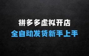 多多虚拟小白到大神零基础教学拼多多虚拟开店,全自动发货最新教程4.0版本,0基础轻松上手