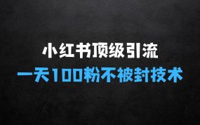 ﻿小红书顶级引流玩法，一天100粉不被封，实操技术【揭秘】
