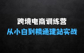 跨境电商站训练营,从小白到精通手把手教你做跨境+站建站实战