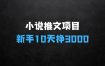 小说推文项目，图文创作玩法，新手10天挣3000
