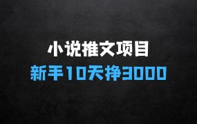 ﻿小说推文项目，图文创作玩法，新手10天挣3000