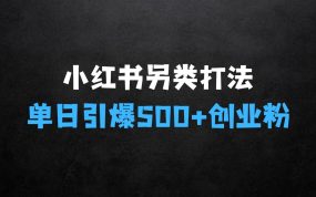 ﻿怎么做生意赚钱：小红书“另类”打法，开局一张图，单日引爆500+精准创业粉【揭秘】