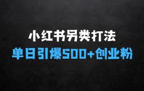 ﻿怎么做生意赚钱：小红书“另类”打法，开局一张图，单日引爆500+精准创业粉【揭秘】