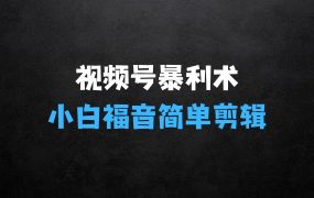 2025视频号蓝海超级暴利自动爆单术1.0,小白福音简单剪辑不直播不挂车