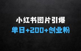 ﻿小红书一张图片“引爆”创业粉，这种方法教你单日获取200+精准创业粉