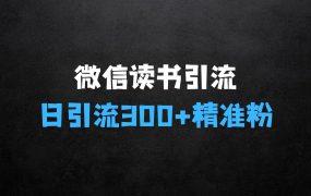 ﻿微信读书，一个隐藏的引流宝地，不为人知的小众打法，日引流300+精准创业粉，长尾流量源源不断