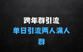 跨年群引流项目，单日两人满人群，立马操作立马见效【揭秘】