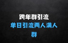 跨年群引流项目，单日两人满人群，立马操作立马见效【揭秘】