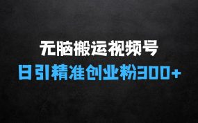 ﻿无脑搬运视频号可批量复制，新手即可操作，日引精准创业粉300+，月变现过W【揭秘】
