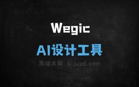 Wegic