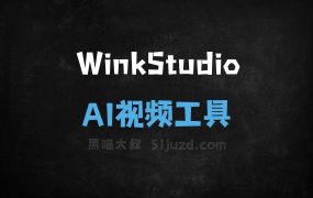 WinkStudio