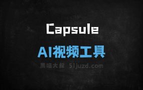 Capsule