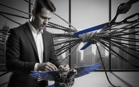 风向突变！特朗普一纸行政令或将终结各州AI法规，创业者的新机遇来了？