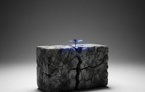 OpenAI大神说堆料时代结束了,这对普通人的AI行业应用意味着什么?