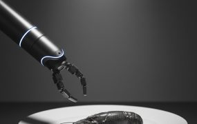 清华团队融资数亿，就为机器人能剥小龙虾？这个AI行业应用真香