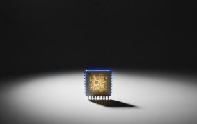 谷歌为省钱憋出的大招，成了AI行业应用的新出路